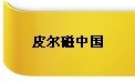 皮爾磁參展第13屆華南地區(qū)工業(yè)控制自動化國際展覽會